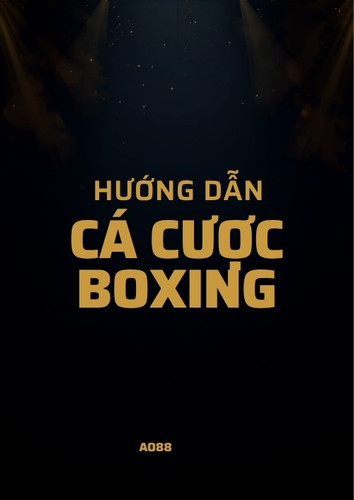 Hướng dẫn cá cược Boxing Quyền Anh cho người mới tại AO88