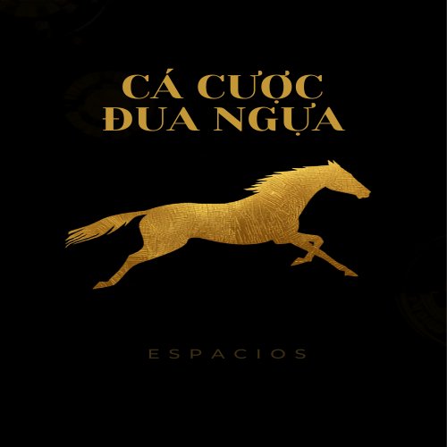 So sánh các kiểu cược đua ngựa Win, Place, Show và Exacta